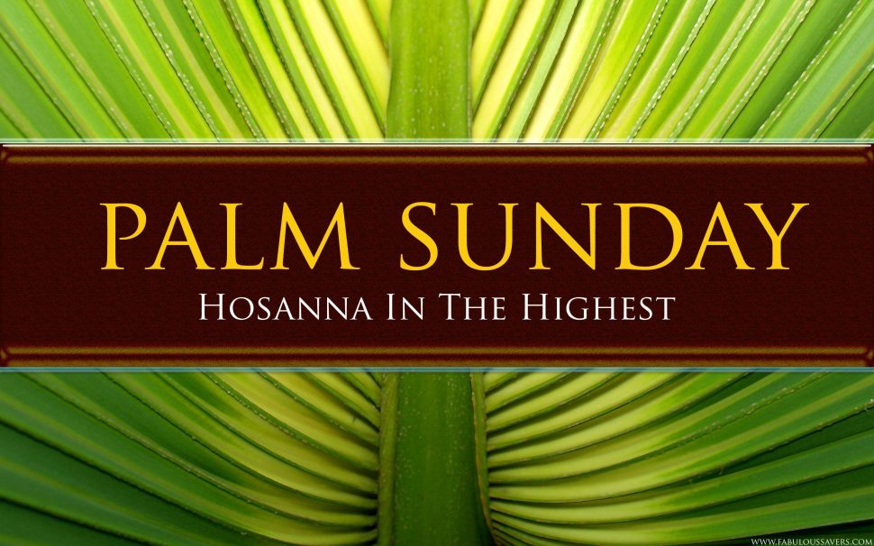Palm / Passion Sunday